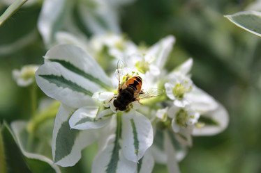 Similar image 281251