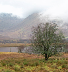 Similar image 281252