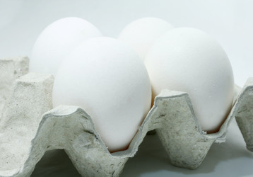 Similar image 281256