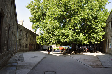 Similar image 281273