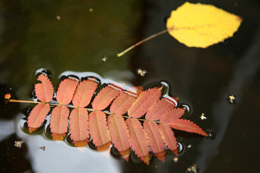 Similar image 281287