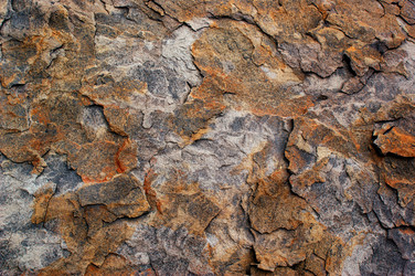 Similar image 281293