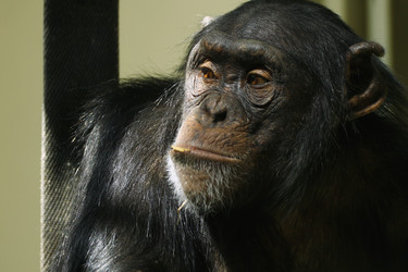 Similar image 281314