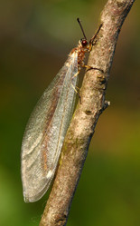 Similar image 281325