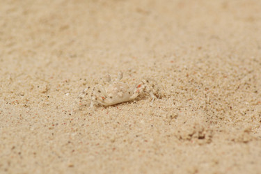 Similar image 281326