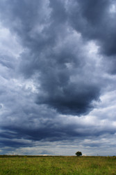 Similar image 281455