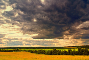 Similar image 281456