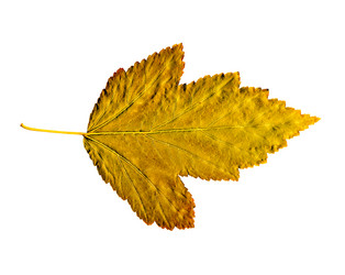 Similar image 281458