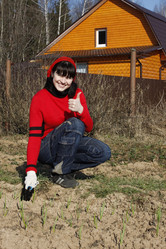 Similar image 281484