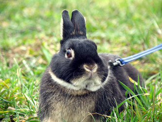 Similar image 281509