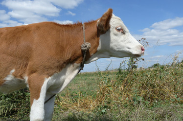 Similar image 281565