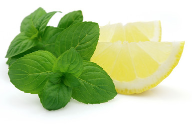 Similar image 281566