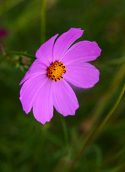 Similar image 281571