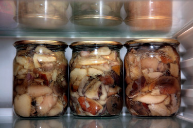 Similar image 281583