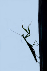 Similar image 281600