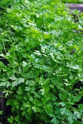 Similar image 281607