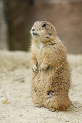 Similar image 281611