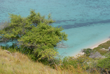 Similar image 281613