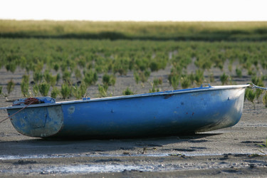 Similar image 281620