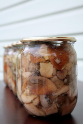 Similar image 281628