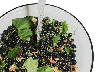 Similar image 281645