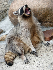 Similar image 281663