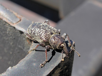 Similar image 281689