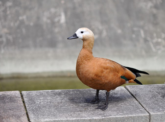 Similar image 281696