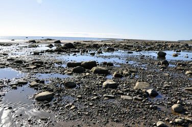 Similar image 281746