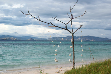 Similar image 281752