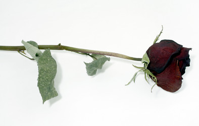 Similar image 281765