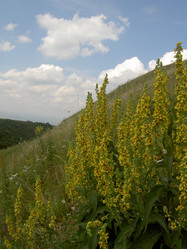 Similar image 281777