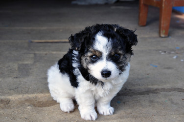 Similar image 281798