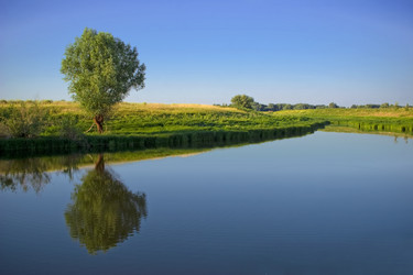 Similar image 281812