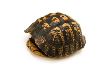 Similar image 281817