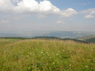 Similar image 281823