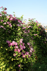 Similar image 281826