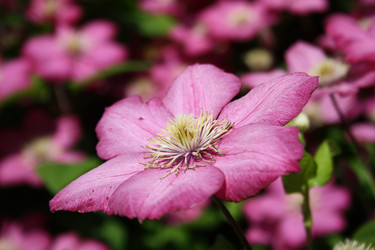 Similar image 281827