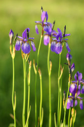 Similar image 281828