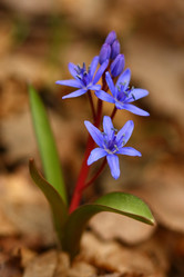 Similar image 281829