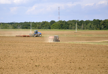 Similar image 281831