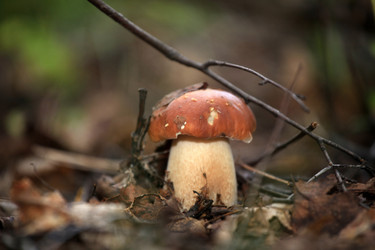 Similar image 281842