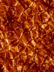 Similar image 281889