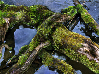 Similar image 281909