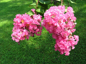 Similar image 281917