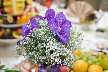 Similar image 281920