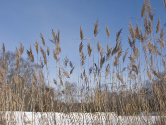 Similar image 281925