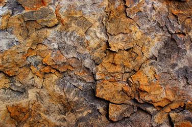 Similar image 281927