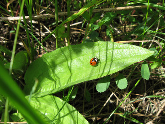 Similar image 281929