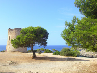 Similar image 281954